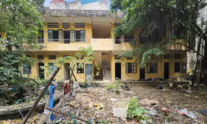 Trên phố Tô Hiệu (quận Hà Đông) hiệu có 3 cơ sở nhà, đất do cơ quan Nhà nước quản lý bị bỏ hoang.