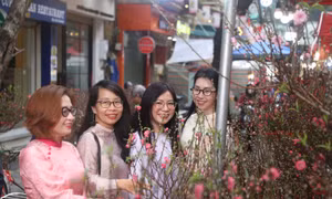 Người dân Thủ đô háo hức đến chợ hoa trăm tuổi ‘chở Tết’ về nhà
