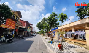 Thư Lâm gắn phát triển kinh tế với nâng cao chất lượng sống