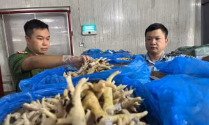Lực lượng chức năng kiểm tra chân gà đông lạnh trong kho tại Khu công nghiệp Quang Minh.