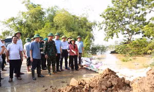 Bí thư Thành ủy Hà Nội Bùi Thị Minh Hoài kiểm tra công tác phòng, chống lũ tại xã Đa Phúc và Trung Giã.