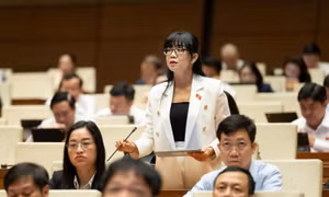 Luật Thủ đô sửa đổi: Cần cơ chế đủ mạnh để phát triển hệ thống trường công