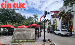 Bán đảo hồ Đống Đa