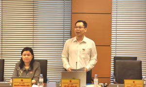 Đại biểu Đỗ Đức Hồng Hà - Phó Chủ nhiệm Ủy ban Pháp luật và Tư pháp của Quốc hội.