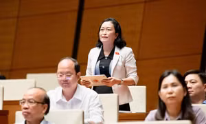 Đại biểu Quốc hội đề nghị giám sát tối cao nội dung thực hiện sắp xếp bộ máy.