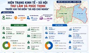 Hiện trạng kinh tế - xã hội Thư Lâm và Phúc Thịnh trước khi thí điểm ‘xã hội chủ nghĩa’