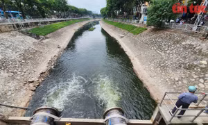 Xử lý nghiêm hành vi bơm xả chất thải trái phép vào sông Tô Lịch