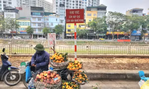 Hà Nội xóa sổ 'chợ cóc' Ngã Tư Sở, tiểu thương rục chuyển nghề