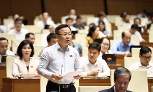 Phó Trưởng đoàn chuyên trách Đoàn đại biểu Quốc hội TP Hà Nội Trần Thanh Hà.