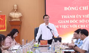 Hà Nội tập trung kiểm soát thị trường những tháng cuối năm