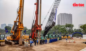 Hà Nội chặt hạ, di chuyển hơn 2.600 cây để làm nút giao Vành đai 3,5 - Đại lộ Thăng Long
