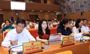 Hà Nội xem xét phương án thành lập Sở An toàn thực phẩm.