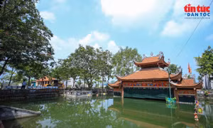 Bộ tiêu chí chấm điểm Thư Lâm và Phúc Thịnh xây dựng mô hình 'xã hội chủ nghĩa'