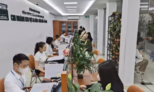 Hà Nội đặt mục tiêu hoàn thành cơ sở dữ liệu đất đai trong tháng 8/2026.