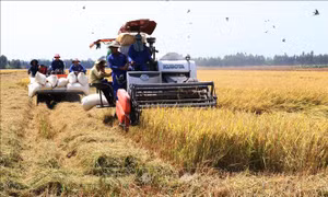 Đẩy mạnh tích tụ ruộng đất để cơ giới hóa nông nghiệp