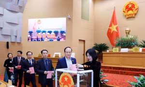 HĐND TP Hà Nội kiện toàn nhiều chức danh lãnh đạo chủ chốt