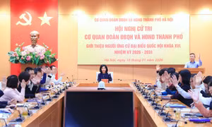 Chủ tịch HĐND TP Hà Nội Phùng Thị Hồng Hà được giới thiệu ứng cử đại biểu Quốc hội