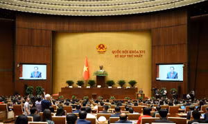 500 người trúng cử đủ tư cách đại biểu Quốc hội khóa XVI