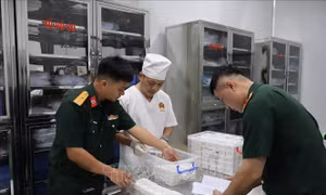 Bàn giao mẫu hài cốt liệt sĩ cho Viện Pháp y Quân đội phục vụ giám định ADN