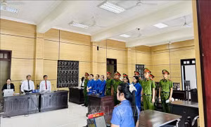 Năm bị cáo lĩnh án trong vụ mua bán người sang Campuchia làm việc cho công ty lừa đảo