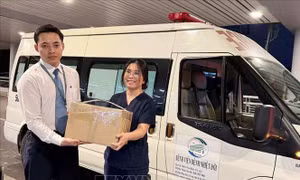 Khẩn cấp cứu bệnh nhân sốt rét ác tính