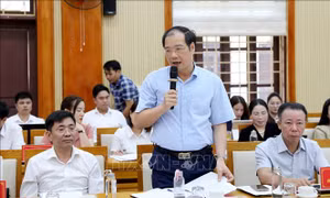 Phục dựng, tái hiện thương cảng Phố Hiến xưa
