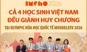 Cả 4 học sinh Việt Nam đều giành huy chương tại Olympic Hóa học quốc tế Mendeleev 2026