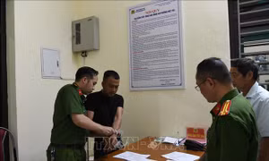 Triệt phá chuyên án lớn, bắt giữ nhiều giám đốc doanh nghiệp