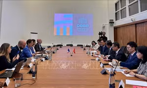 Tăng cường trao đổi kinh nghiệm Việt Nam - Pháp về xây dựng chính sách công