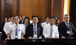 Xét xử 227 bị cáo trong vụ án ma túy VN10 từ vụ 4 nữ tiếp viên hàng không