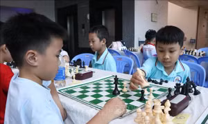 Khai mạc Giải Cờ vua, Cờ tướng các nhóm tuổi trẻ miền Trung