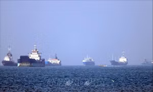 Mỹ tạm dừng chiến dịch hộ tống tàu qua eo biển Hormuz