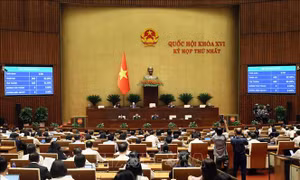 Kỳ họp thứ Nhất, Quốc hội khóa XVI: Thông qua nghị quyết về thuế tiêu thụ đặc biệt đối với xăng, dầu và nhiên liệu bay