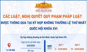 Các luật, nghị quyết quy phạm pháp luật được thông qua tại Kỳ họp không thường lệ thứ Nhất, Quốc hội khóa XVI