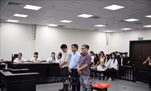 Cựu Hiệu trưởng Trường Cao đẳng du lịch Hà Nội lĩnh 3 năm tù do 'ăn chặn' tiền A80