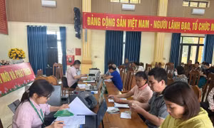 Hiệu quả của tín dụng chính sách trên vùng đất Hà Nam