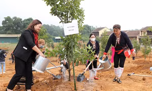 Phát động Tết trồng cây tại Làng Văn hóa - Du lịch các dân tộc Việt Nam