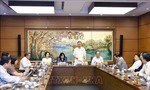 Tổng Bí thư Tô Lâm: Luật pháp không phục vụ cho lợi ích của nhóm nào cả mà cho toàn dân