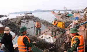 Các địa phương khẩn trương ứng phó với bão số 1