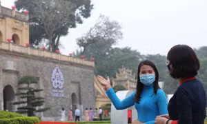 Hợp đồng theo tour có được xác định là hợp đồng lao động không?
