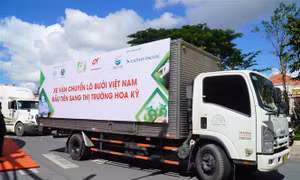 Công bố xuất khẩu lô bưởi đầu tiên của Việt Nam sang Hoa Kỳ