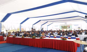 Mô hình canh tác lúa lai mới ở Thái Bình