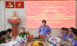 Kiểm sát công tác giải quyết khiếu nại, tố cáo trong hoạt động tư pháp tại Công an Đồng Nai