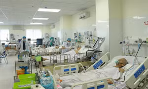 Không ngừng phát huy vai trò, trí tuệ, hoàn thành sứ mệnh chăm sóc sức khỏe cho Nhân dân
