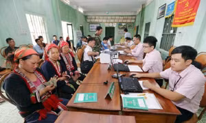 Tín dụng chính sách - chung tay tô thắm bức tranh thảo nguyên Mộc Châu