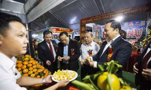 Hòa Bình: Kết nối, nâng cao giá trị cam Cao Phong cùng các nông sản chủ lực
