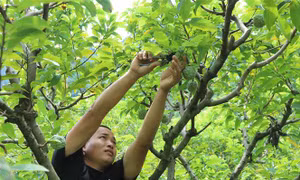 Đẩy mạnh thực hiện Chương trình mục tiêu quốc gia tại Lạng Sơn