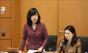 Quan điểm của Bộ Y tế về đánh thuế tiêu thụ đặc biệt với một số sản phẩm liên quan đến sức khỏe người dân