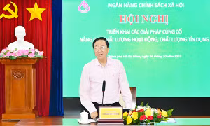 Nâng cao chất lượng hoạt động và tín dụng tại một số tỉnh Tây Nam bộ