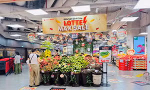 Siêu sale giảm tới 50% trên hơn 6.000 mặt hàng tại LOTTE MART